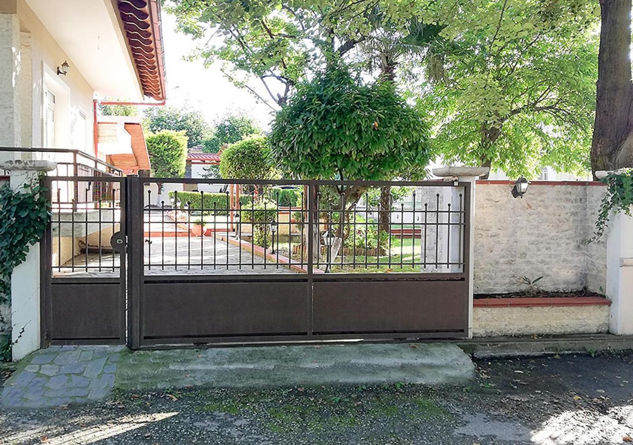 "The Plane Trees" Villa Polikarpi Kültér fotó