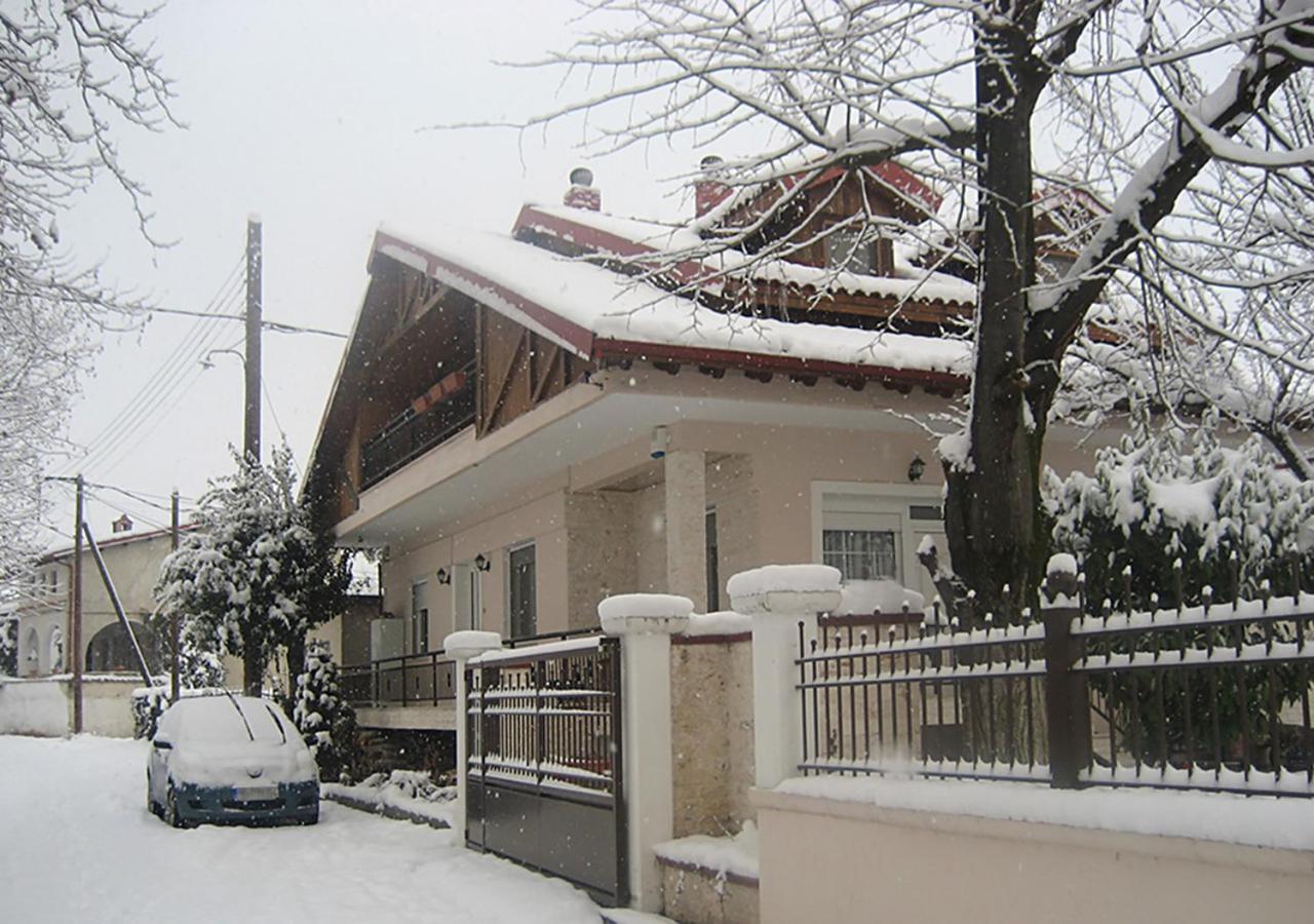 "The Plane Trees" Villa Polikarpi Kültér fotó