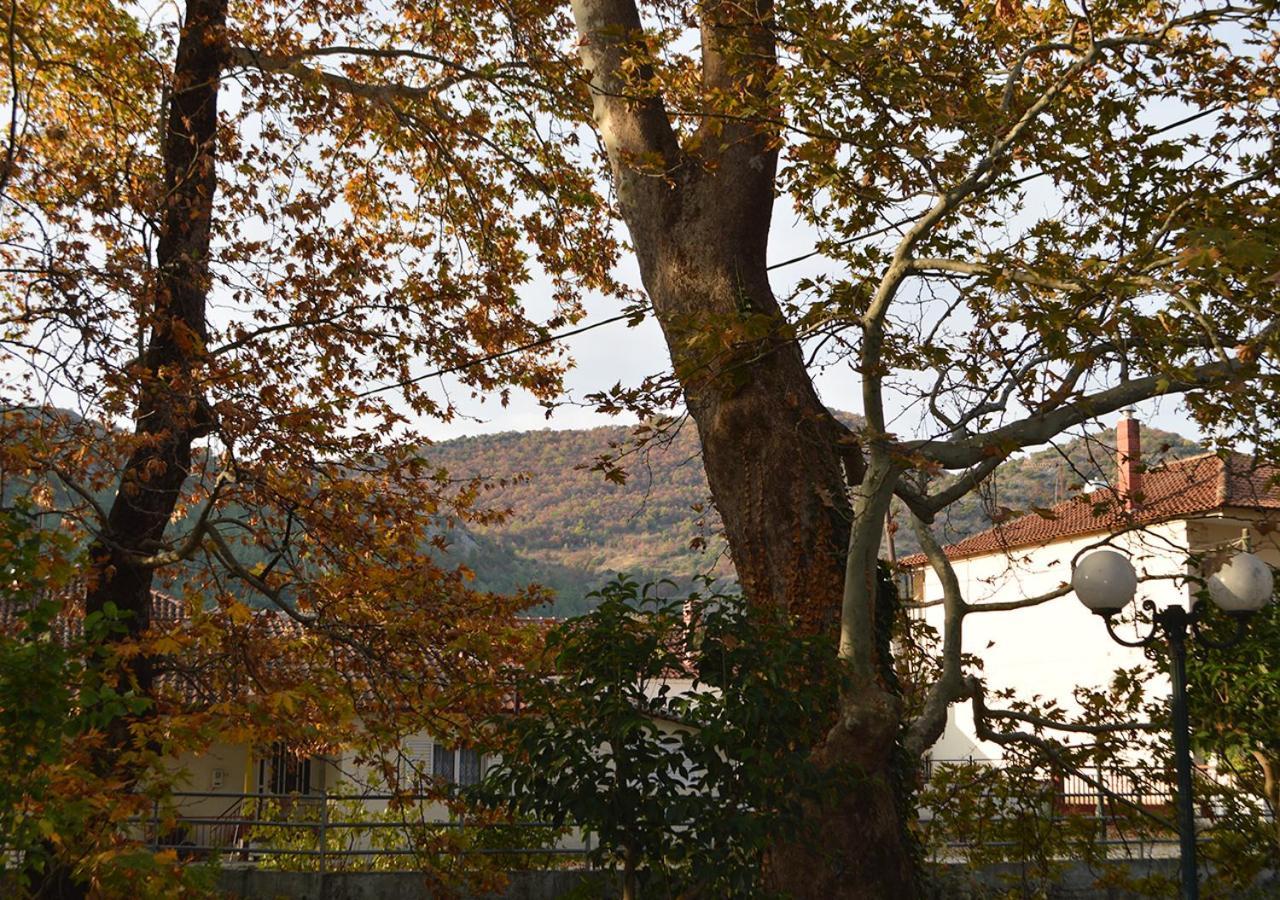 "The Plane Trees" Villa Polikarpi Kültér fotó